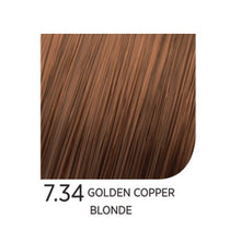 Load image into Gallery viewer, My Color - Color Options - 3.4oz.