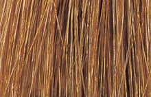 Load image into Gallery viewer, Watercolors BB Demi-Permanent Hair Color 2 oz