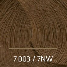 Load image into Gallery viewer, Amore Colore Hair Colore Cream 3.4 oz