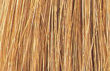 Load image into Gallery viewer, Watercolors BB Demi-Permanent Hair Color 2 oz