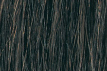 Load image into Gallery viewer, Tressa Colourage Gel Color 2 oz.