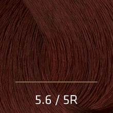 Load image into Gallery viewer, Amore Colore Hair Colore Cream 3.4 oz